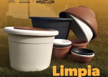 Implementar esta estrategia te ayudará a prevenir el dengue en casa: SSM