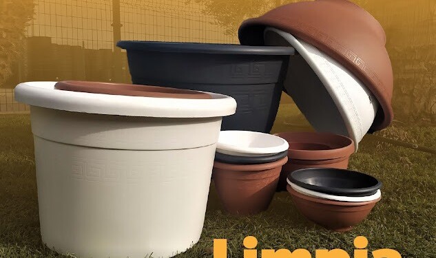 Implementar esta estrategia te ayudará a prevenir el dengue en casa: SSM