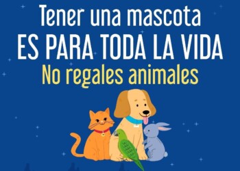 Fiscalía General refuerza acciones para erradicar la venta de animales en el operativo de Día de Reyes