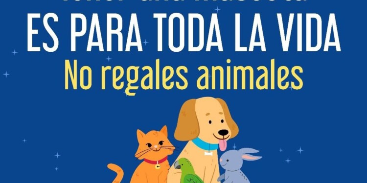Fiscalía General refuerza acciones para erradicar la venta de animales en el operativo de Día de Reyes