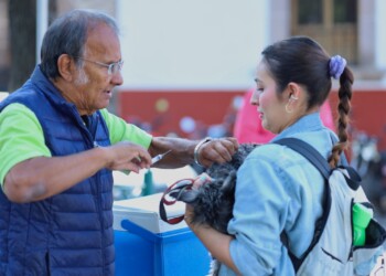 En 2025 mantendrá SSM vacunación antirrábica en todo Michoacán