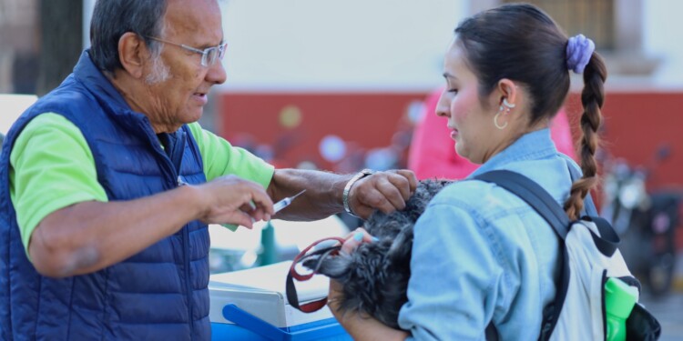 En 2025 mantendrá SSM vacunación antirrábica en todo Michoacán