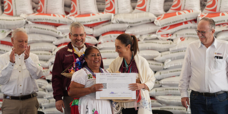En Michoacán, Presidenta Claudia Sheinbaum encabeza entrega del Programa de Fertilizantes para el Bienestar, derecho de las y los campesinos