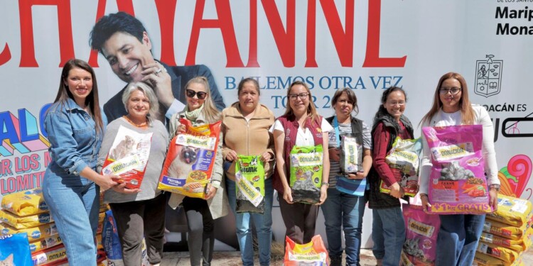 Concluye con éxito colecta de croquetas; donadas, 50 toneladas para michis y lomitos rescatados