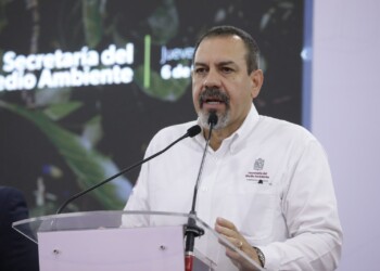 Con Guardián Forestal empacadoras identificarán aguacate ilegal