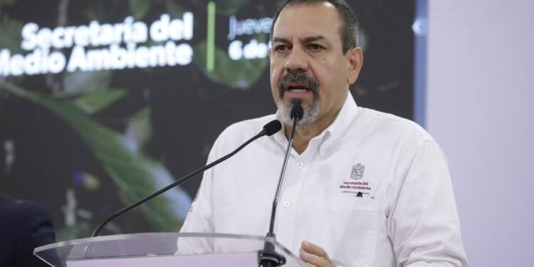 Con Guardián Forestal empacadoras identificarán aguacate ilegal