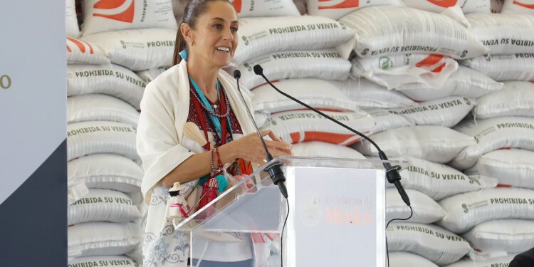 Con Sheinbaum, recuperaremos la soberanía alimentaria: Fabiola Alanís