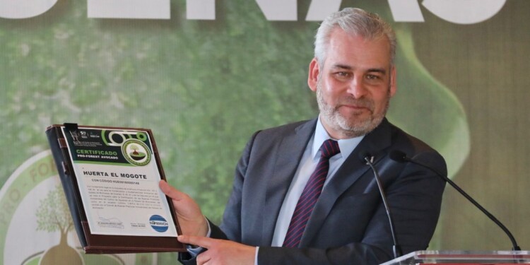 Certificación contra la deforestación ProForest Avocado es voluntaria: Bedolla