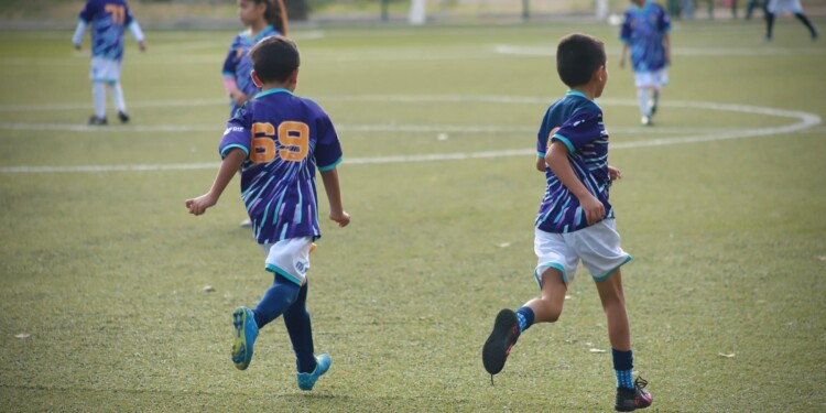 Gobierno de Morelia invita a artesanos a participar en el Carnaval del Torito de Petate 2025