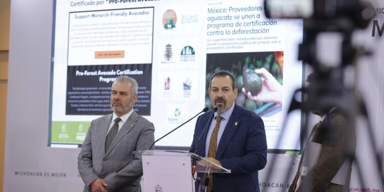 Impulsan ONG certificación de aguacate michoacano en EUA