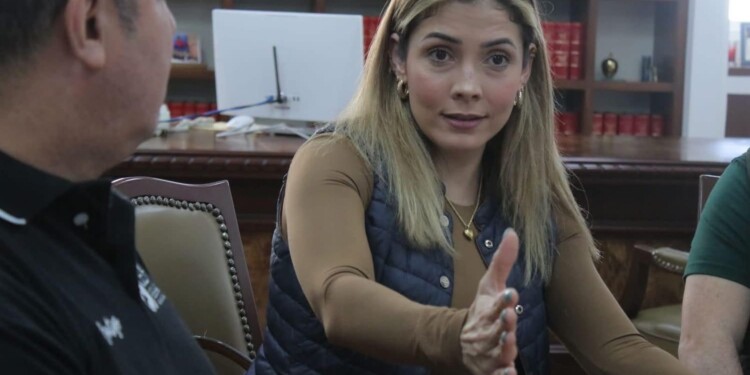 Inicia Brissa Arroyo mesa de trabajo conjunta con Derechos Humanos