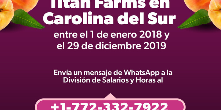 Trabajadores migrantes podrían tener salarios pendientes: Semigrante