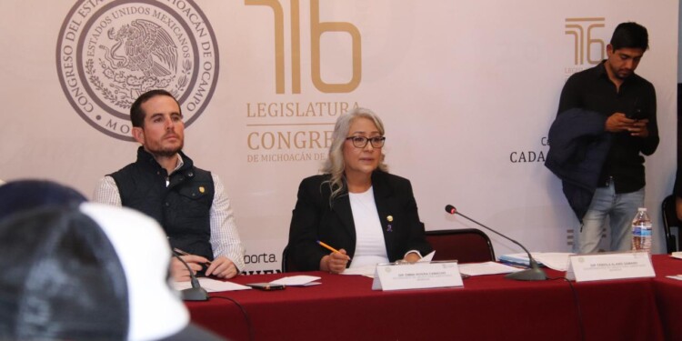 Congreso está abierto a atender demandas del magisterio de la CNTE: Emma Rivera