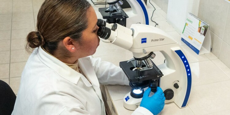 ¿Eres estudiante de la UMSNH y te gustaría realizar una estancia de investigación?, participa en el Programa Delfín