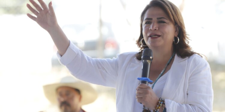 Campo michoacano, prioridad en la 4T: Fabiola Alanís