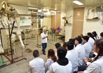 Medicina, Odontología y Derecho encabezan el Top 10 de las carreras con mayor demanda en la UMSNH