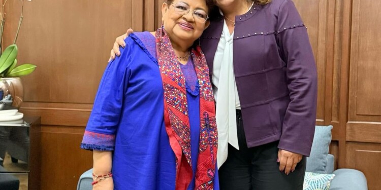 Fabiola Alanís expone logros legislativos de la 4T en Michoacán ante Gobierno de México 