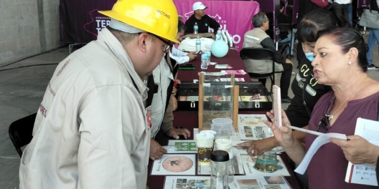 Más de 190 mil acciones contra el dengue durante 2025: SSM