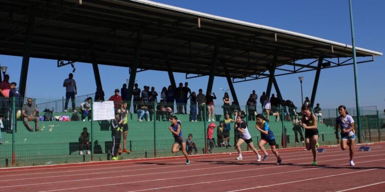 Quedaron definidos las y los atletas nicolaitas que calificaron al regional de la Universiada 2025