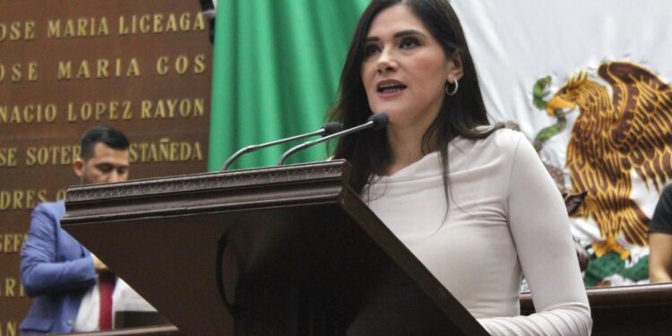 Debemos garantizar un proceso electoral de juzgadores, transparente y apegado a derecho: Diana Espinoza
