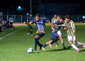 UMSNH crea el primer programa de Especialidad en Derecho Animal en América Latina