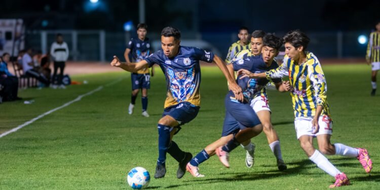 UMSNH crea el primer programa de Especialidad en Derecho Animal en América Latina