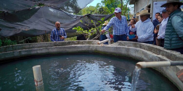 Gobierno de Alfonso Martínez apoya producción piscícola en las tenencias