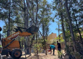 Gobierno de Morelia refuerza acciones de limpieza en espacios públicos