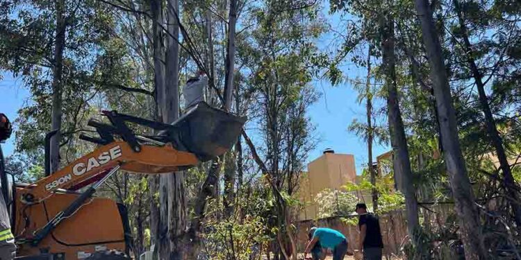 Gobierno de Morelia refuerza acciones de limpieza en espacios públicos