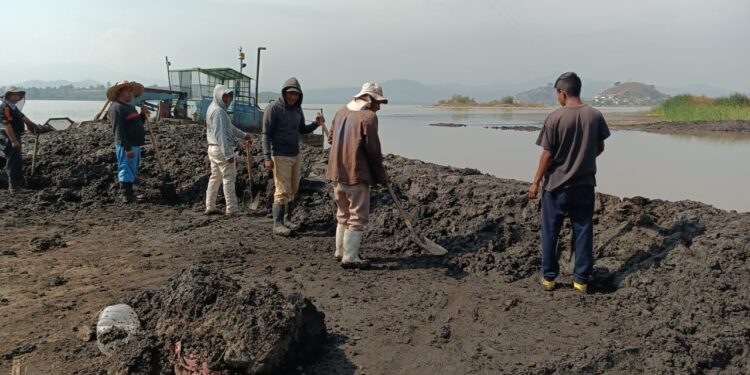 Gobierno estatal arranca empleos temporales para rescate del lago de Pátzcuaro