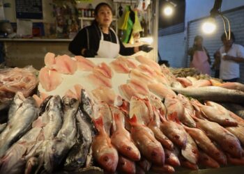 SSM te dice como identificar si el pescado está fresco