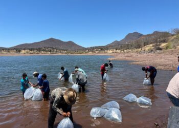 Respalda Compesca al sector acuícola en Tierra Caliente