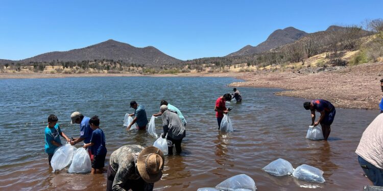 Respalda Compesca al sector acuícola en Tierra Caliente