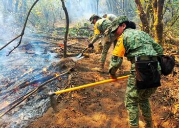 Ejército Mexicano aplica Plan DN-III-E en Incendio Forestal en el Municipio de Zacapu.