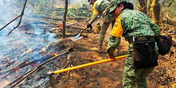 Ejército Mexicano aplica Plan DN-III-E en Incendio Forestal en el Municipio de Zacapu.