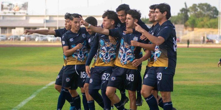 Gratuita la entrada para el partido de Liguilla entre Atlético Morelia-UMSNH y Cimarrones