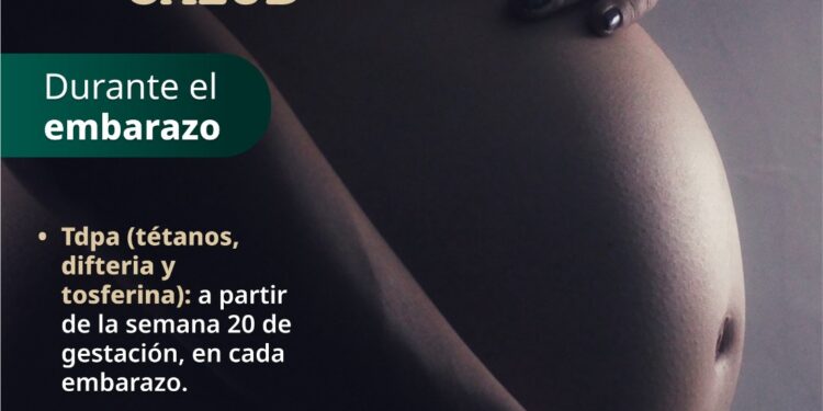 SSM protege a embarazadas contra tosferina, difteria y tétanos con esta vacuna