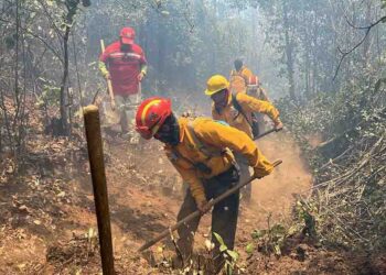 Brigadas apagan 9 incendios forestales y controlan 6: Cofom