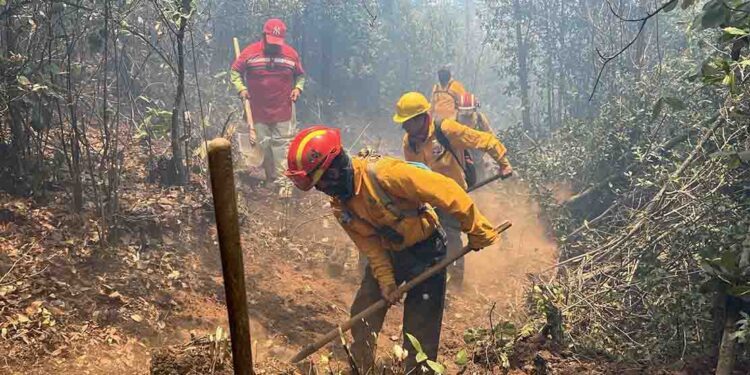 Brigadas apagan 9 incendios forestales y controlan 6: Cofom