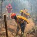Brigadas apagan 9 incendios forestales y controlan 6: Cofom