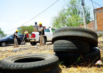 Bajan 65 % casos de dengue en Michoacán: SSM