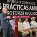 Certificado con Proforest Avocado, el 67 % del aguacate exportado a EUA: Bedolla