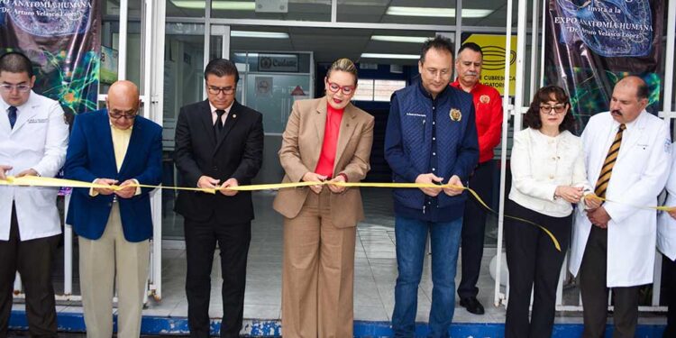 Yarabí Ávila reconoce labor y esfuerzo de las y los instructores del área de la Salud