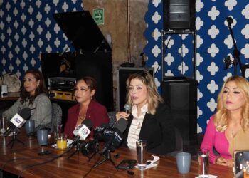 Diputada Brissa Arroyo renuncia a la fracción parlamentaria del PRD