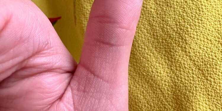 Líderes del Partido del Trabajo Michoacán ejercen su voto en una jornada histórica por la justicia en México