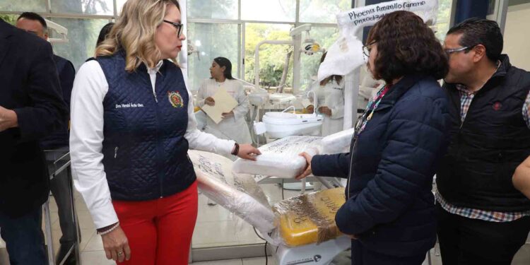 Banco de pacientes de la Facultad de Odontología de la UMSNH, abierto a toda la población