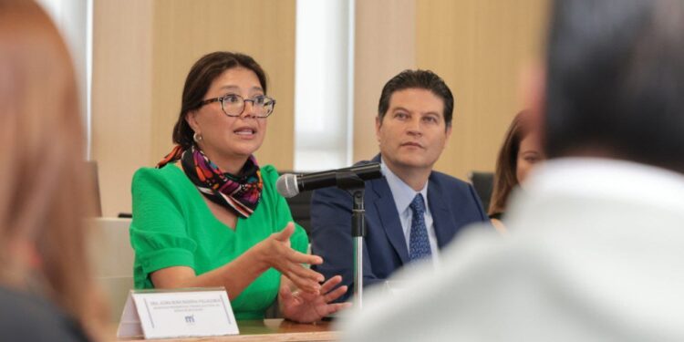 Alfonso Martínez, amigo de la causa migrante: Senadora por Illinois, Karina Villa