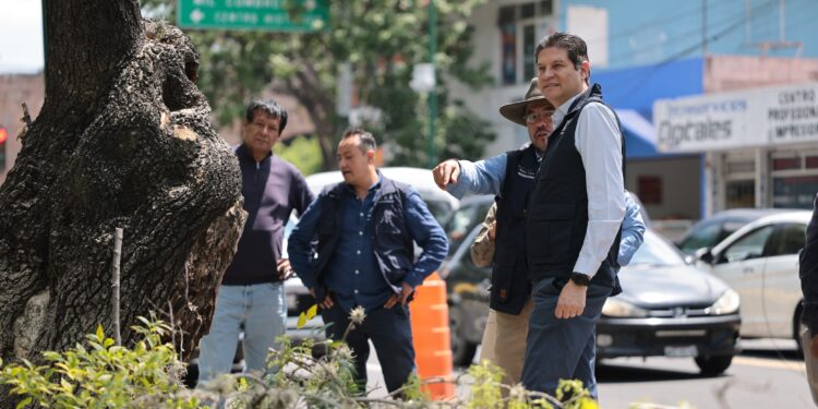 Gobierno de Morelia continúa construyendo espacios seguros con programa de Poda Sanitaria