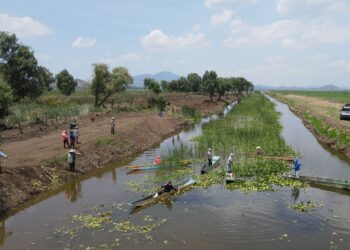 Rescate del canal de Erongarícuaro revitaliza ecosistema y economía local: Compesca