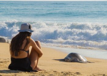 Bosques, pueblos mágicos, playas y gastronomía te esperan en Michoacán: Sectur